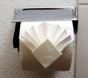 Toilet paper diamond & fan fold