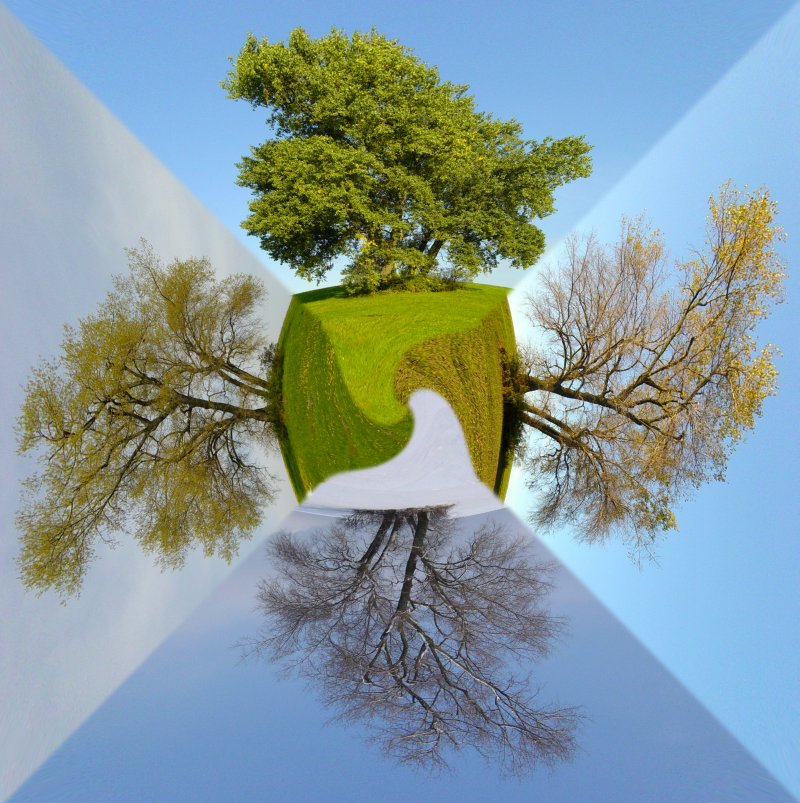 Four Seasons