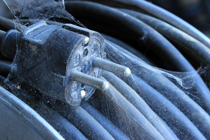 spider web on an power cord