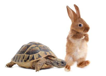 tortoise hare cycle manual times allaboutlean resolution processes published august