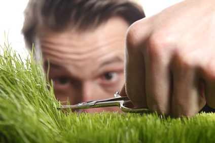 IMAGE(https://www.allaboutlean.com/wp-content/uploads/2016/12/Fotolia-Grass-and-scissors.jpg)