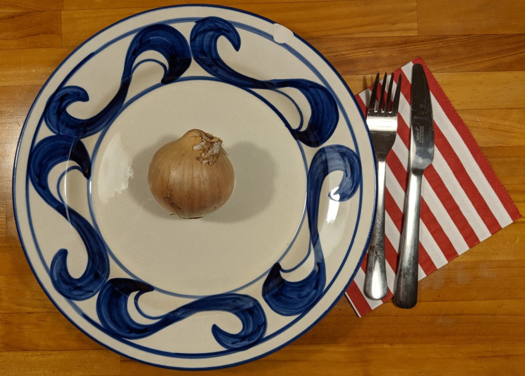 Onion on a Plate