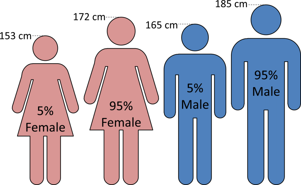 95 Percentile and 5 Percentile Male and Female